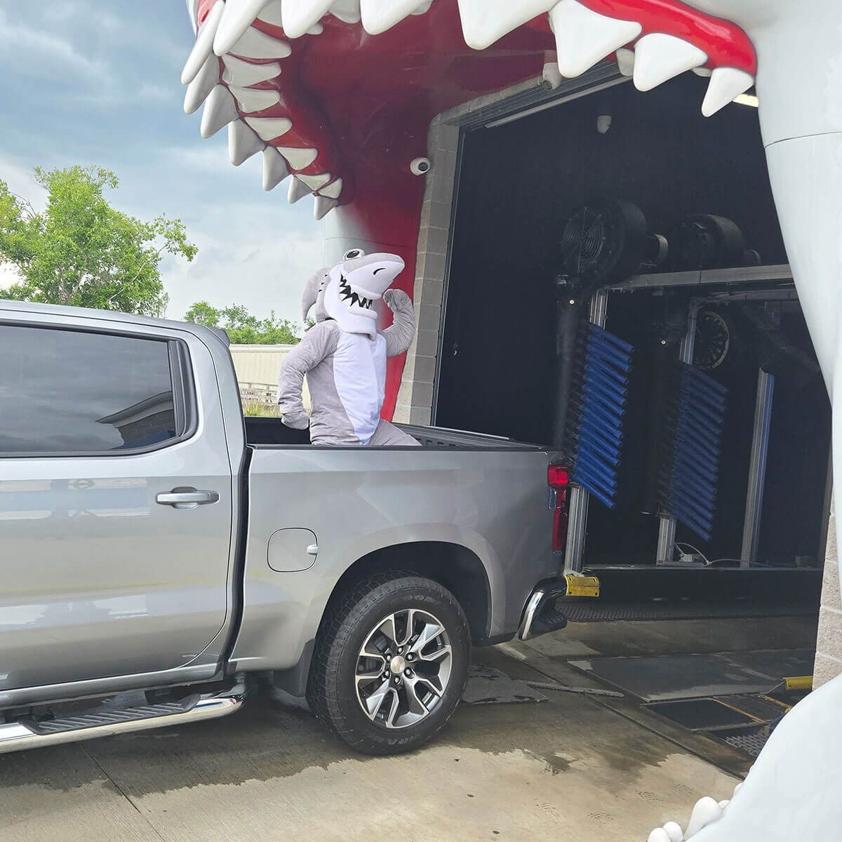photo-about-shark Valdosta City Pic
